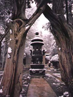 Imperial Garden